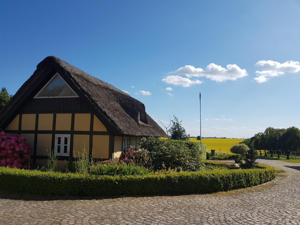 Zara'S B&B Horsens Exterior photo