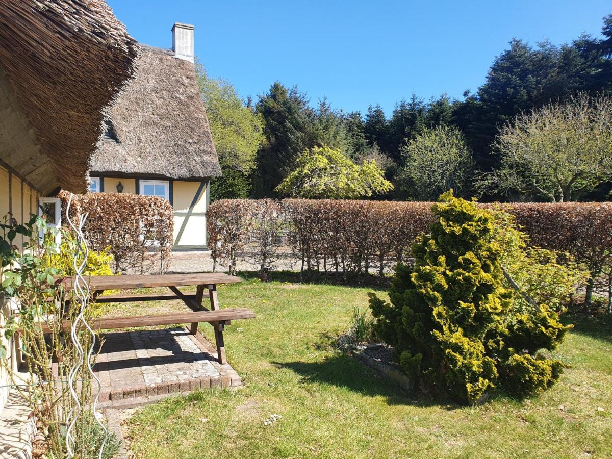 Zara'S B&B Horsens Exterior photo
